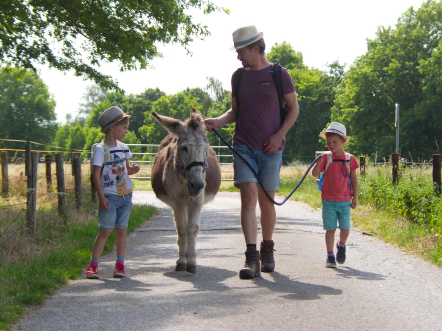 Eselwanderung in NRW mit der ganzen Familie