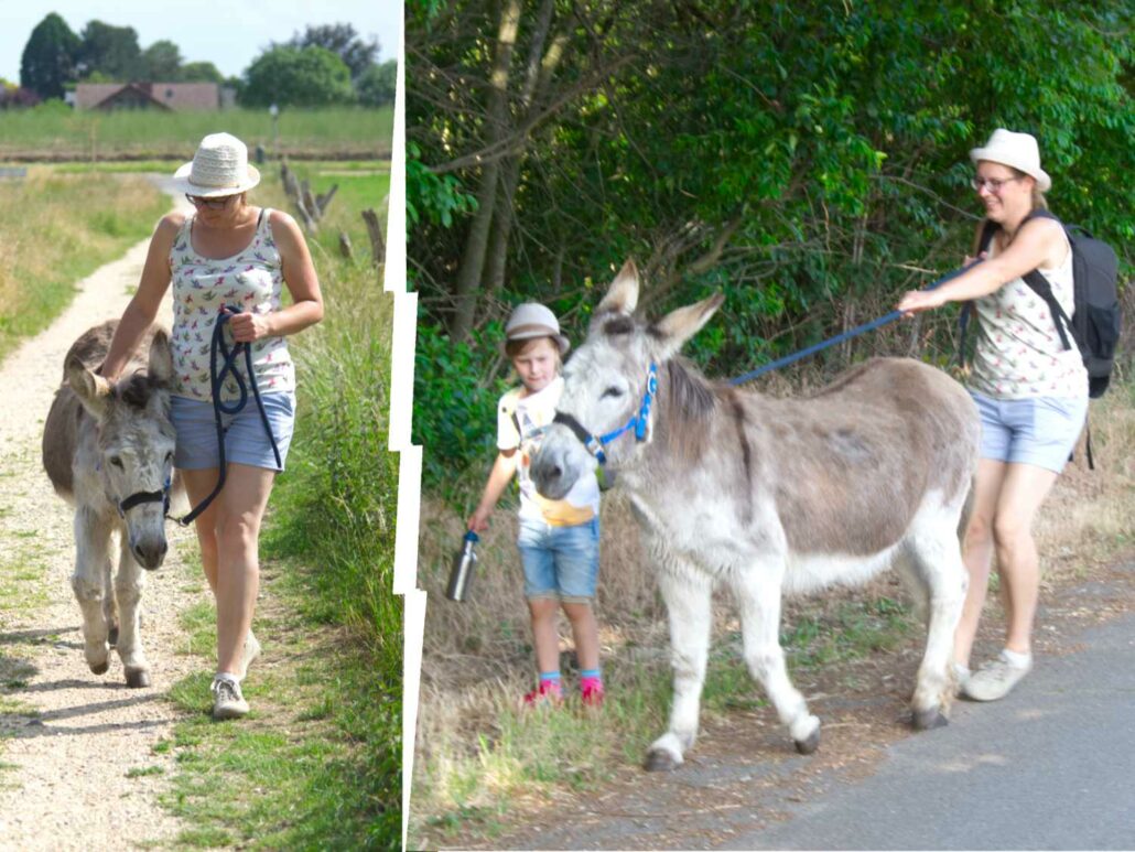 Eselwanderung in NRW - Instagram vs. Reality