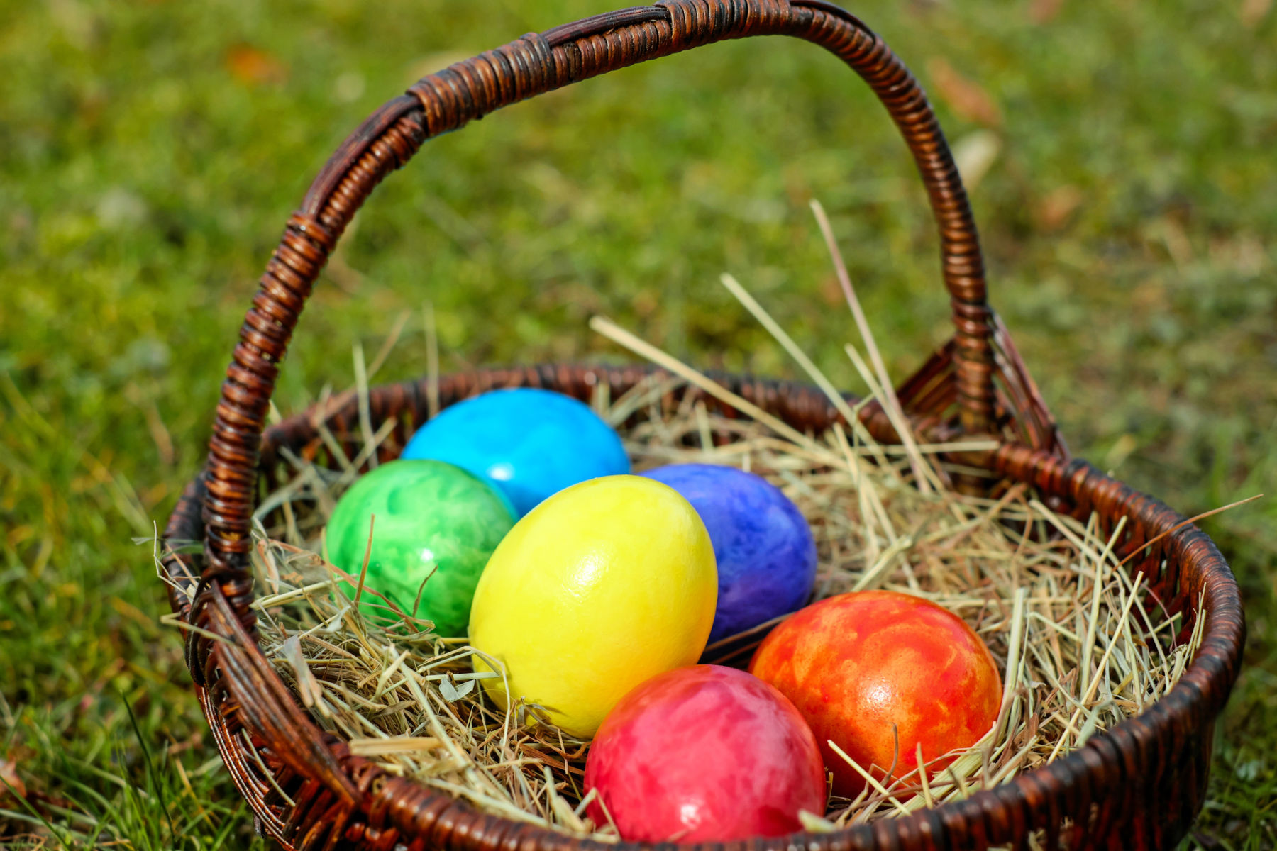 schloss-hertefeld-osterkörbchen Osterkörbchen im Schlosspark